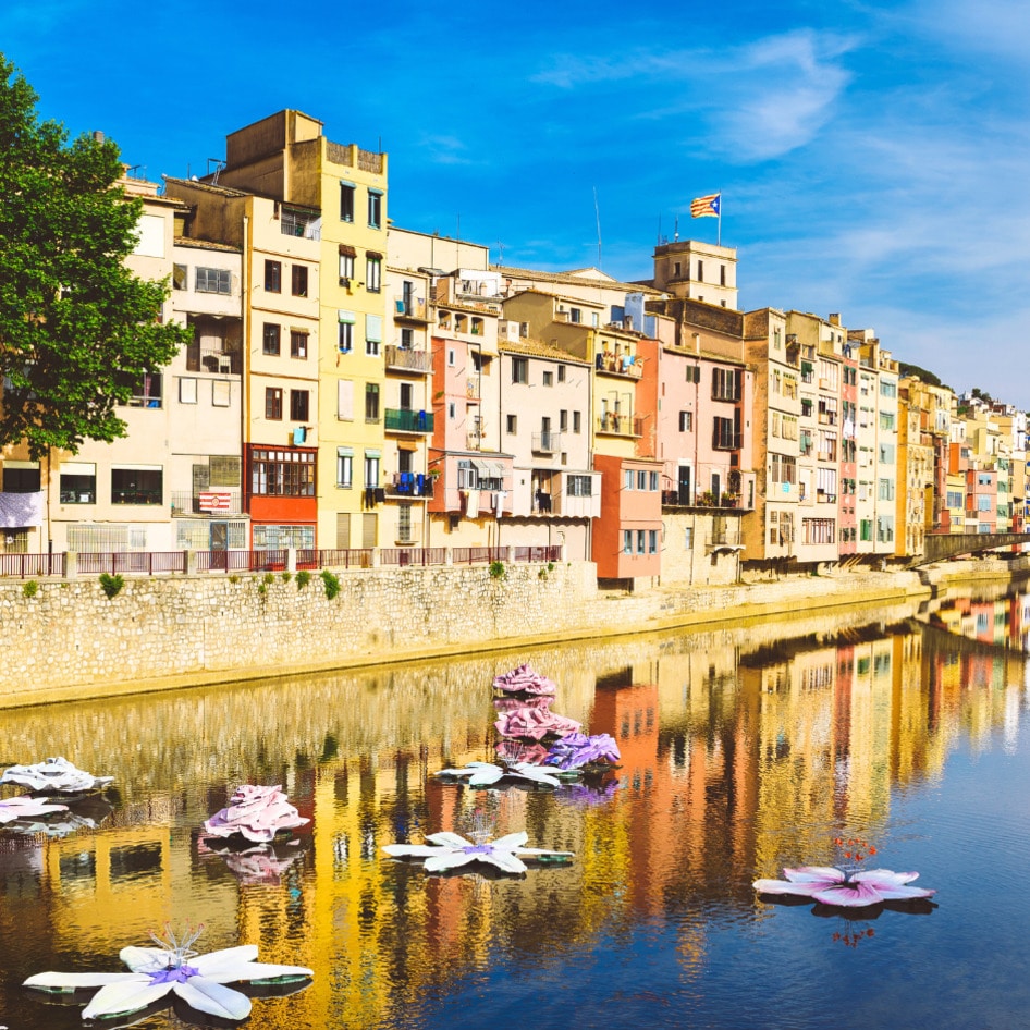 Where to Eat Vegan in Catalonia: Barcelona and Beyond